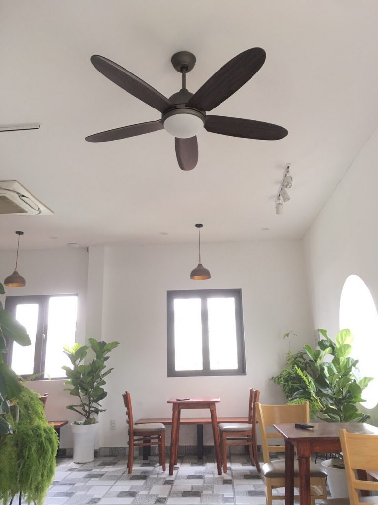 daisyden21 daisyden21