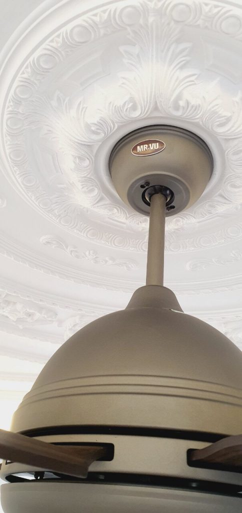 daisyden22 daisyden22