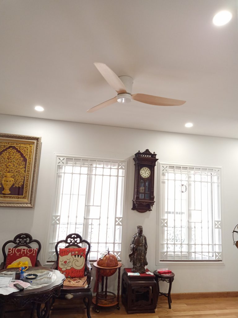 quat cho tran thap sky quat cho tran thap sky