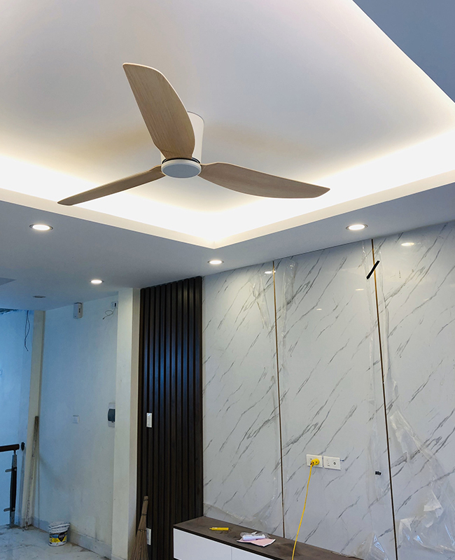 quat cho tran thap sky trang quat cho tran thap sky trang