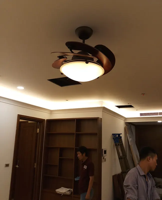 quat tran canh cup sole nau