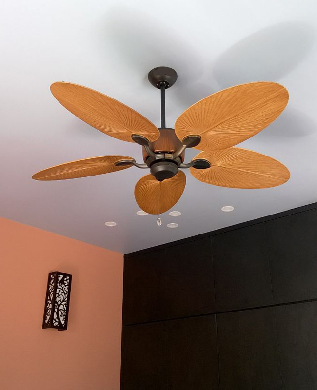 quat tran canh la casa quat tran canh la casa