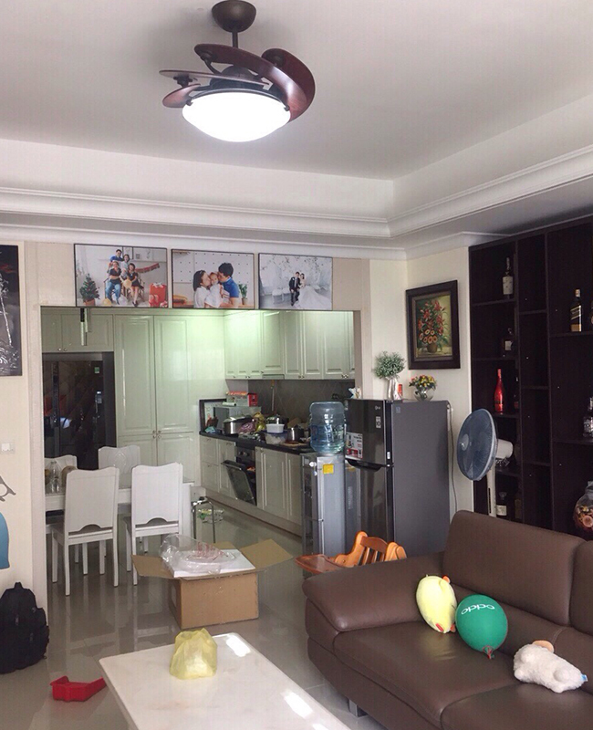 quat tran canh sole nau quat tran canh sole nau