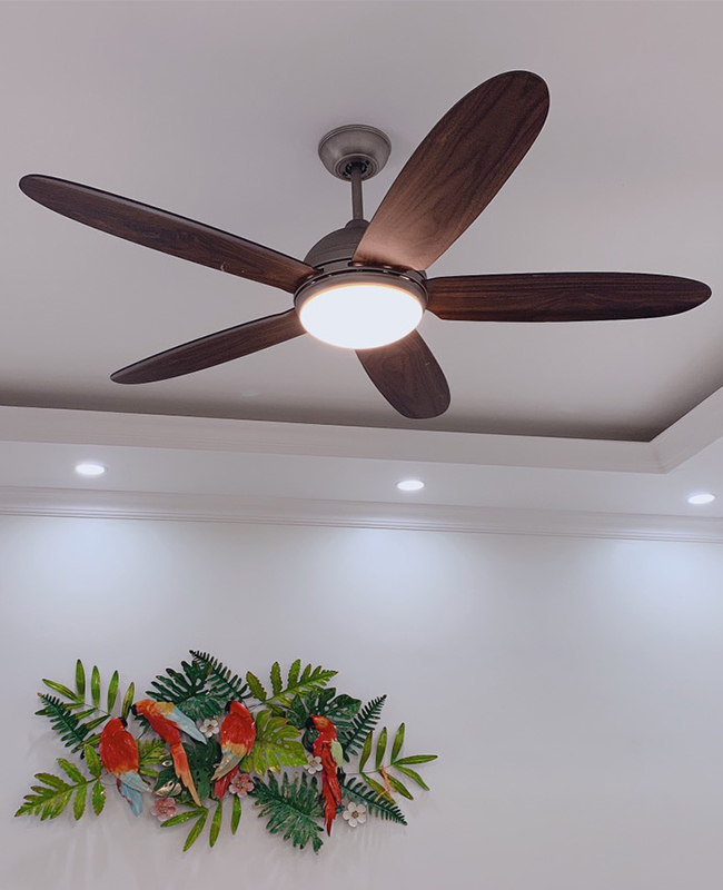 quat tran co den led daisy quat tran co den led daisy