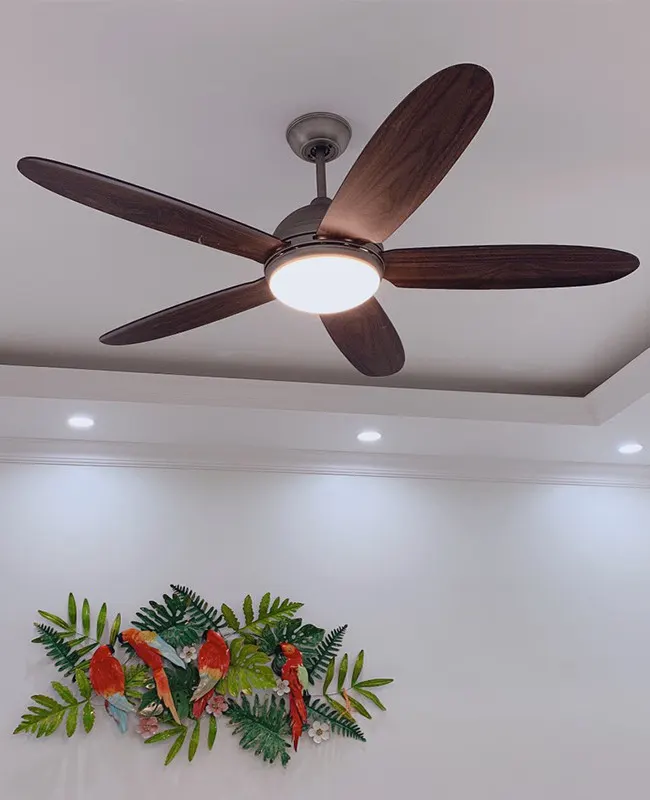 quat tran co den led daisy