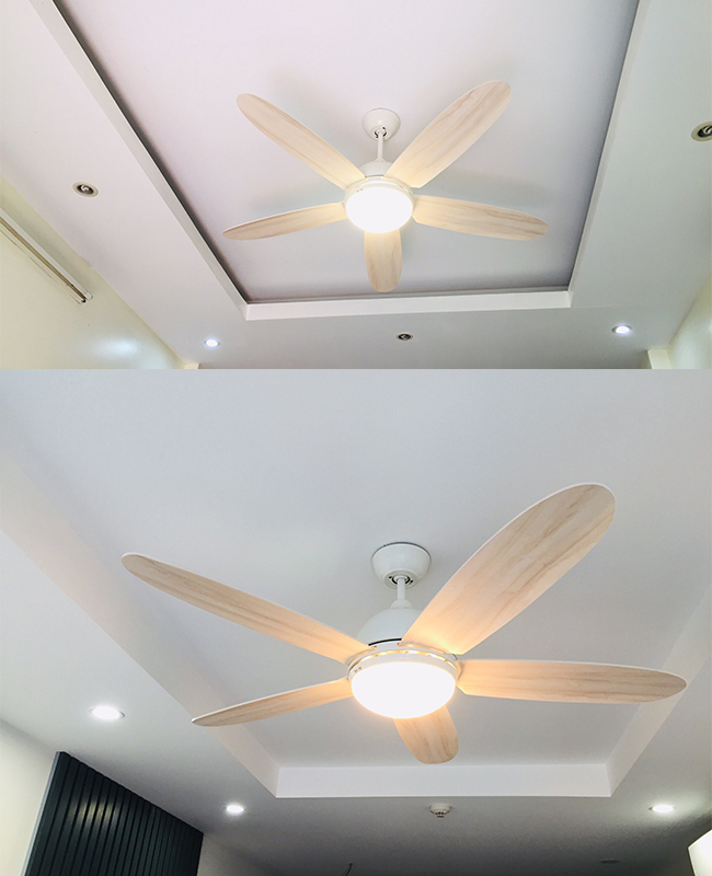 quat tran co den led mau trang quat tran co den led mau trang