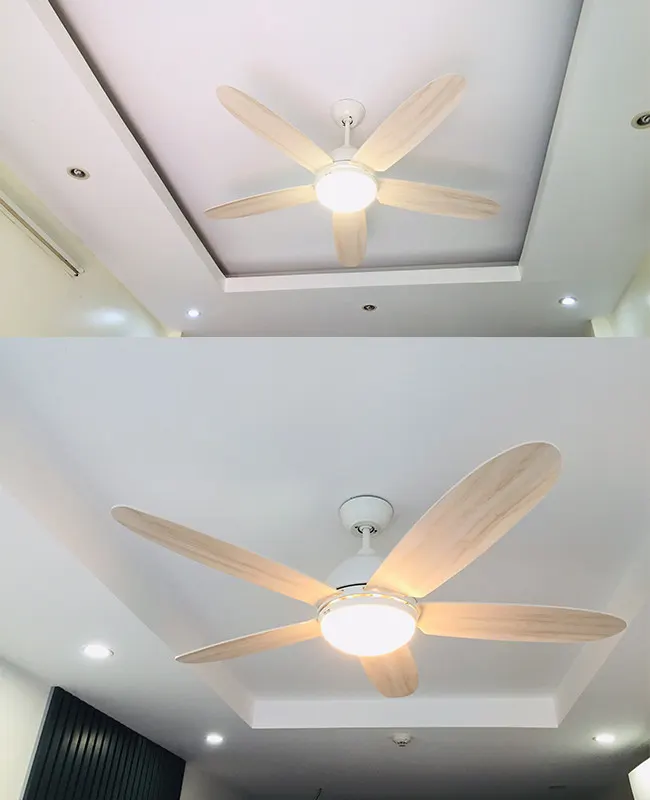 quat tran co den led mau trang
