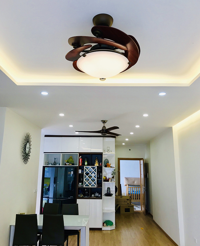 quat tran dau canh go sole nau quat tran dau canh go sole nau