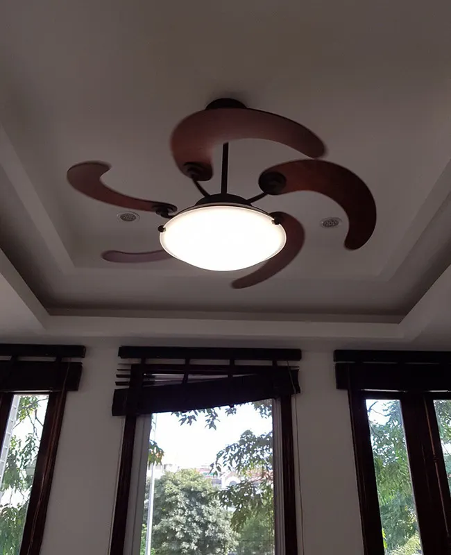 quat tran dau canh sole nau