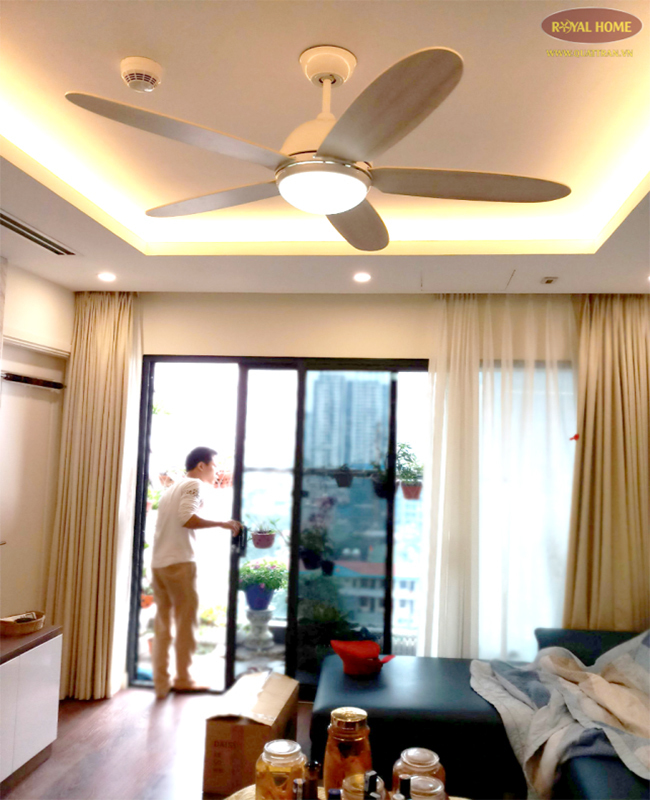 quat tran den led daisywh quat tran den led daisywh