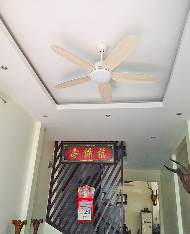 quat tran den led mau trang daisy quat tran den led mau trang daisy