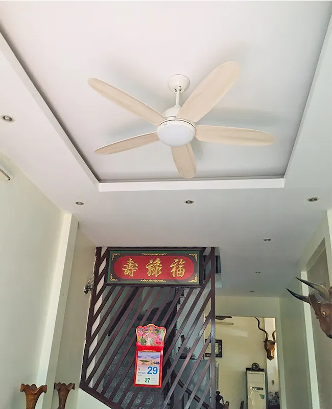 quat tran den led mau trang daisy