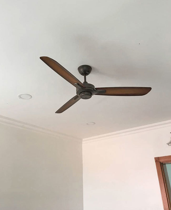 quat tran dep sharp quat tran dep sharp