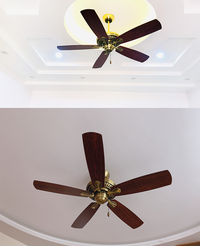 quat tran phong khach 5 canh quat tran phong khach 5 canh