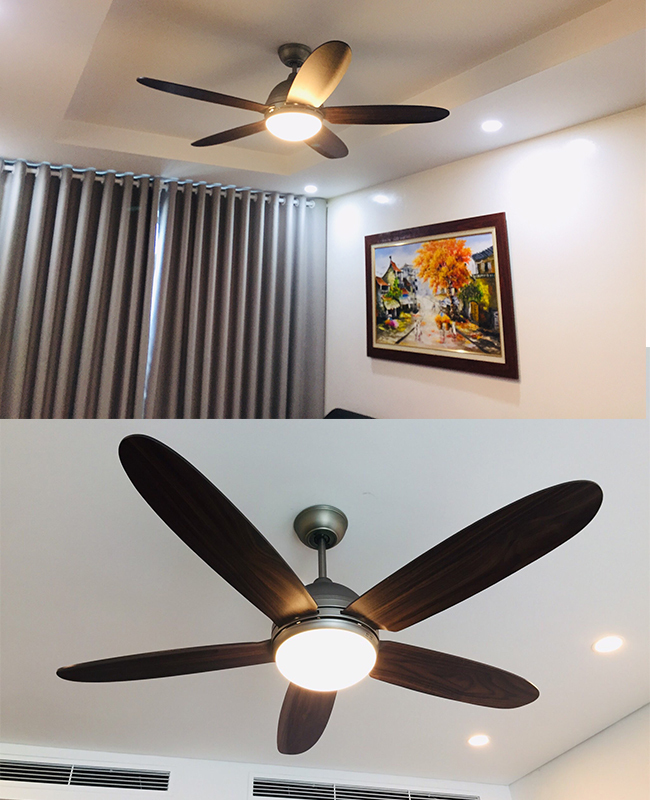 quat tran phong khach dep daisy so quat tran phong khach dep daisy so