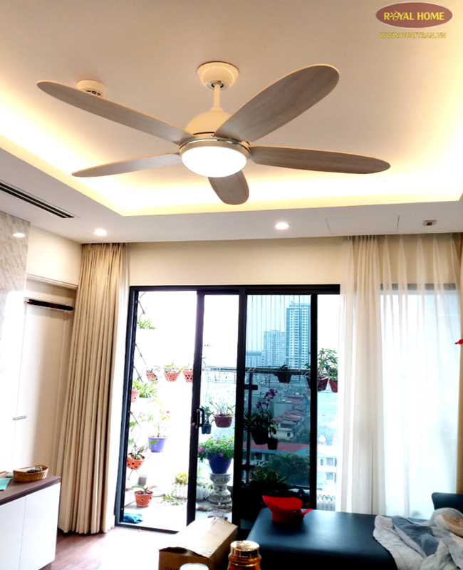 quat tran phong khach mau trang daisy quat tran phong khach mau trang daisy