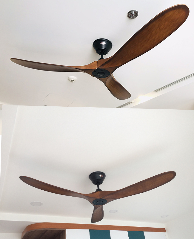 quat tran royal eaglekoa60 quat tran royal eaglekoa60