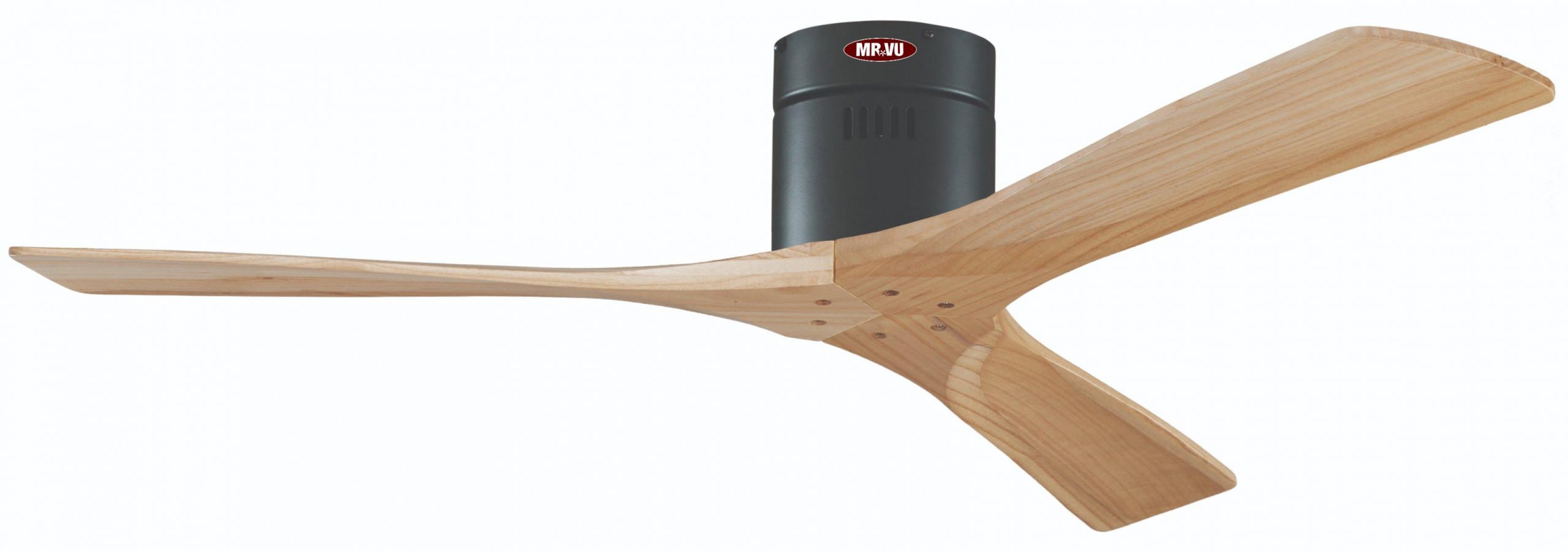 solidmp3 scaled solidmp3 scaled