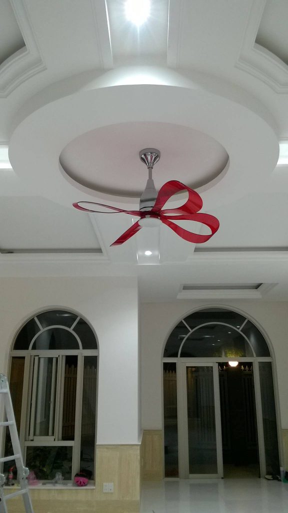 14352620 1821128581452207 7773500216606498025 o 14352620 1821128581452207 7773500216606498025 o