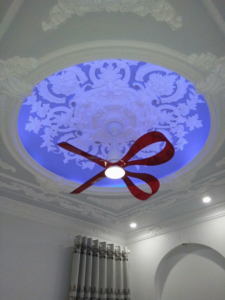 25189078 1514247995296673 8460143384106102397 o 25189078 1514247995296673 8460143384106102397 o