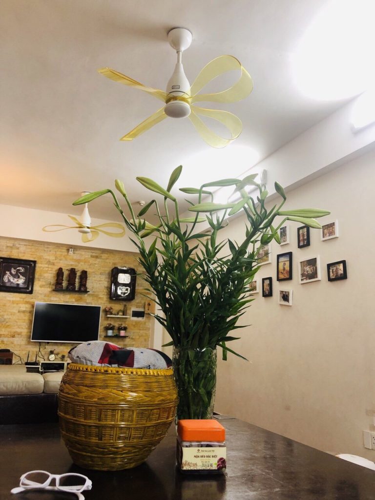 8eef4219f8951fcb4684 8eef4219f8951fcb4684