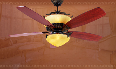 quat tran biet thu villa