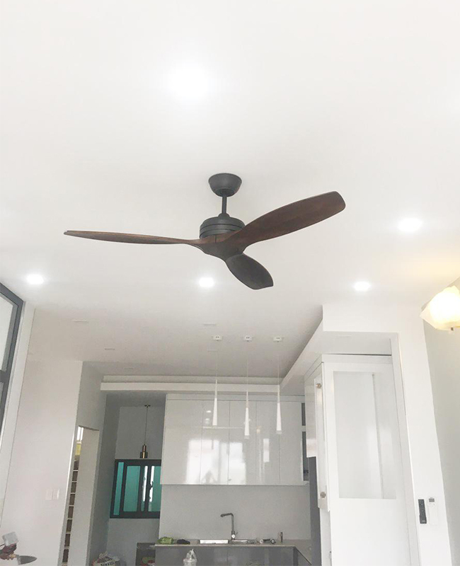 quat tran canh go tu nhien camr quat tran canh go tu nhien camr