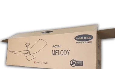Royal Home chi tiền tỷ làm thùng giấy thân thiện môi trường 7 Mr.Vũ đầu tư bao bì thân thiện môi trường cho sản phẩm quạt trần