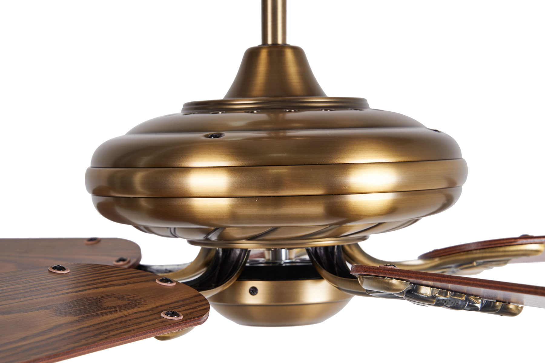 quat tran den dep lotus quat tran den dep lotus