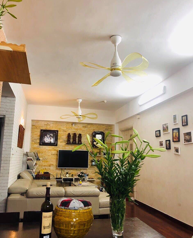 quat tran dep 4 canh nestro quat tran dep 4 canh nestro