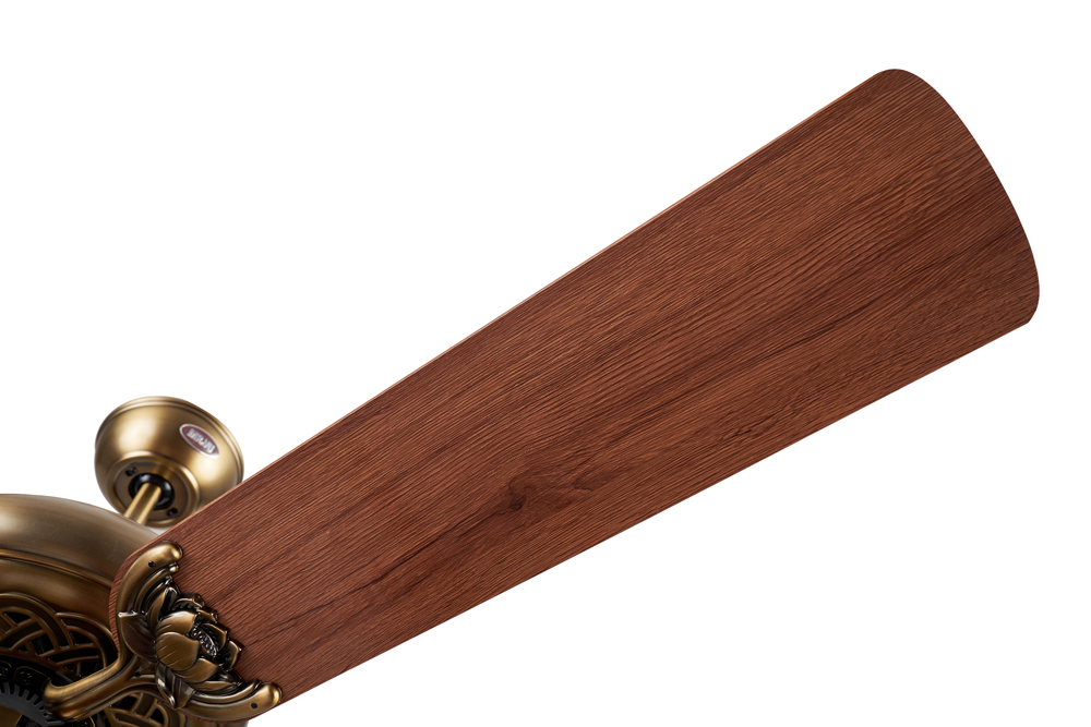 quat-tran-lotus-new3