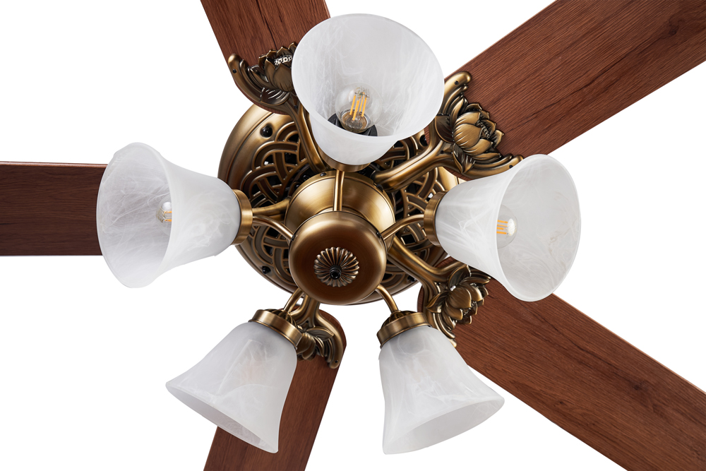 quat-tran-lotus-new5