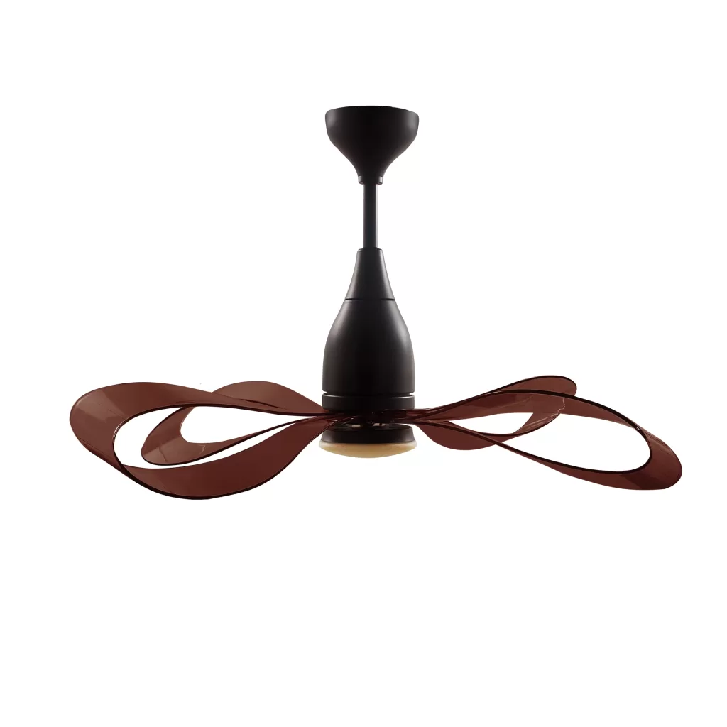 quat-tran-no-NESTRO-RB+Brown