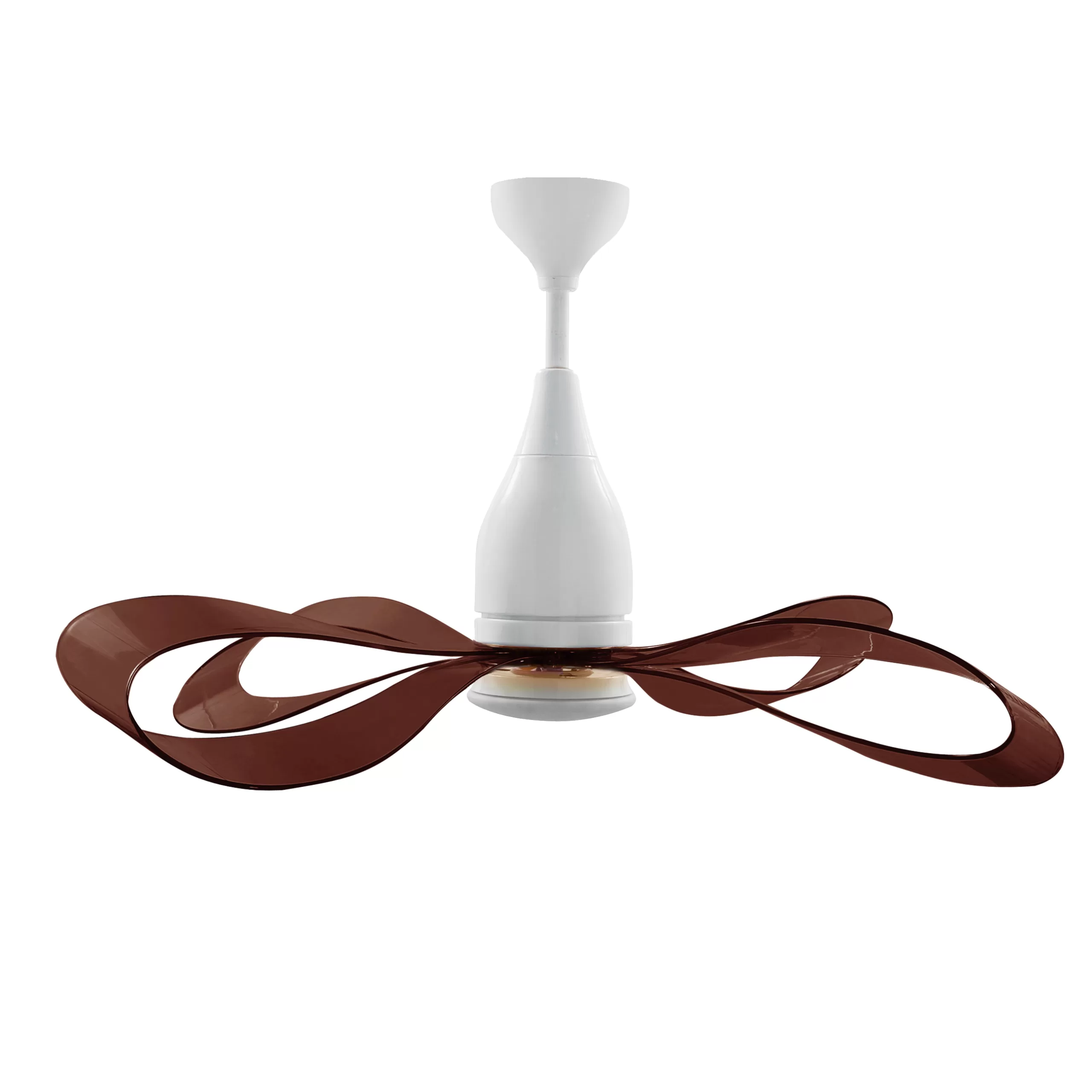 quat-tran-no-NESTRO-WH+Brown