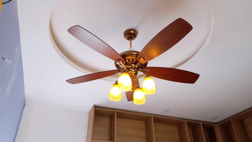 Legend Light1 Legend Light1