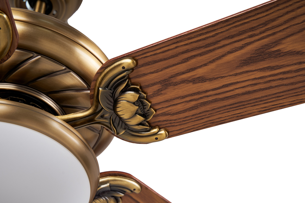 quat tran den lotus2 quat tran den lotus2