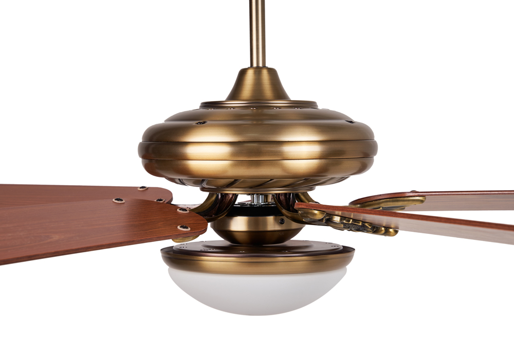 quat tran den lotus4 quat tran den lotus4