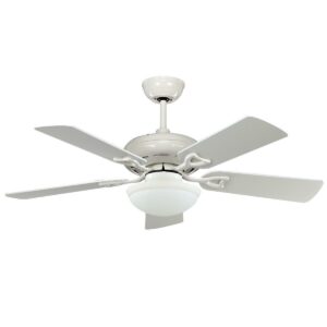 Quạt Classic WH SL