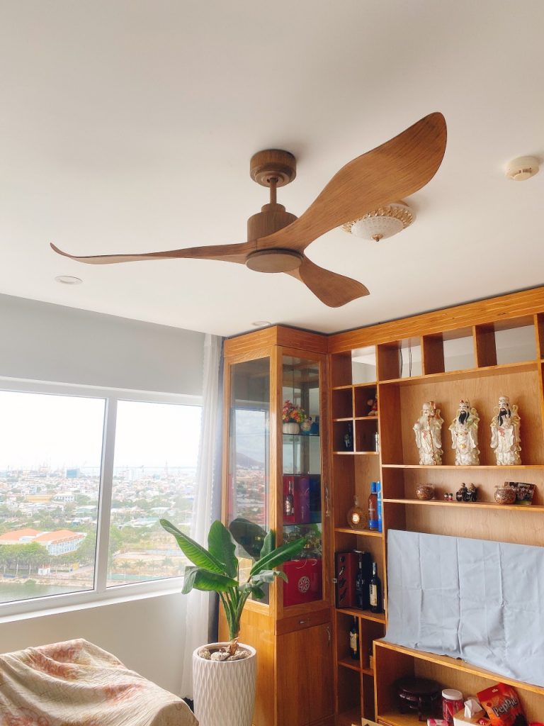 quat tran 3canh dep quat tran 3canh dep