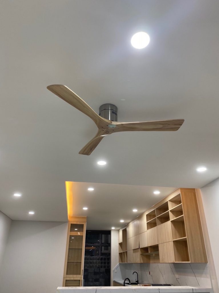 solid1210204 solid1210204