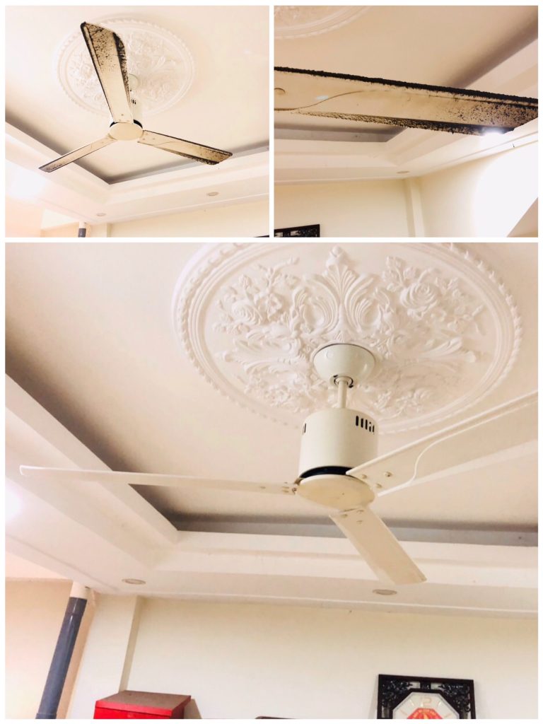 Sau một liền trình, Quạt trần Spin lại trắng như ngọc trai