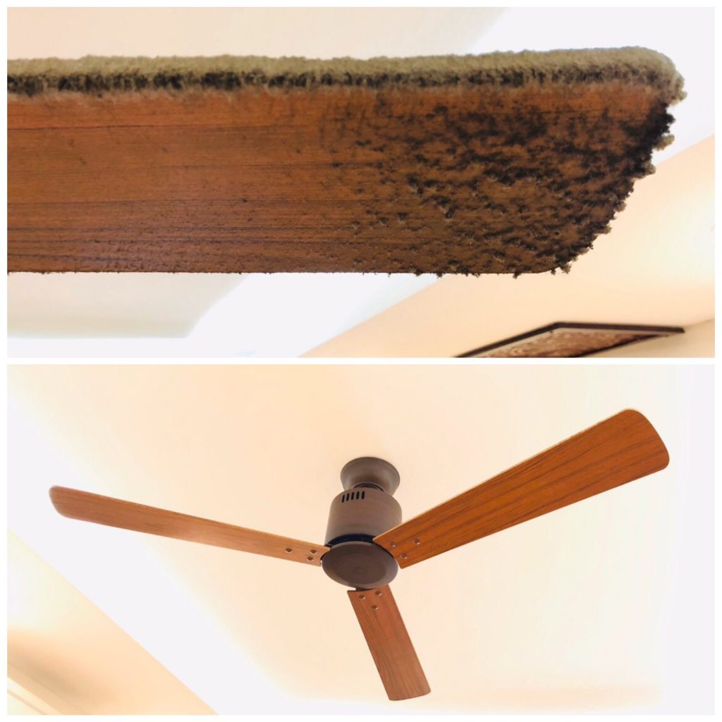 Bảo dưỡng định kỳ sẽ nâng tuổi thọ của quạt lâu bền hơn