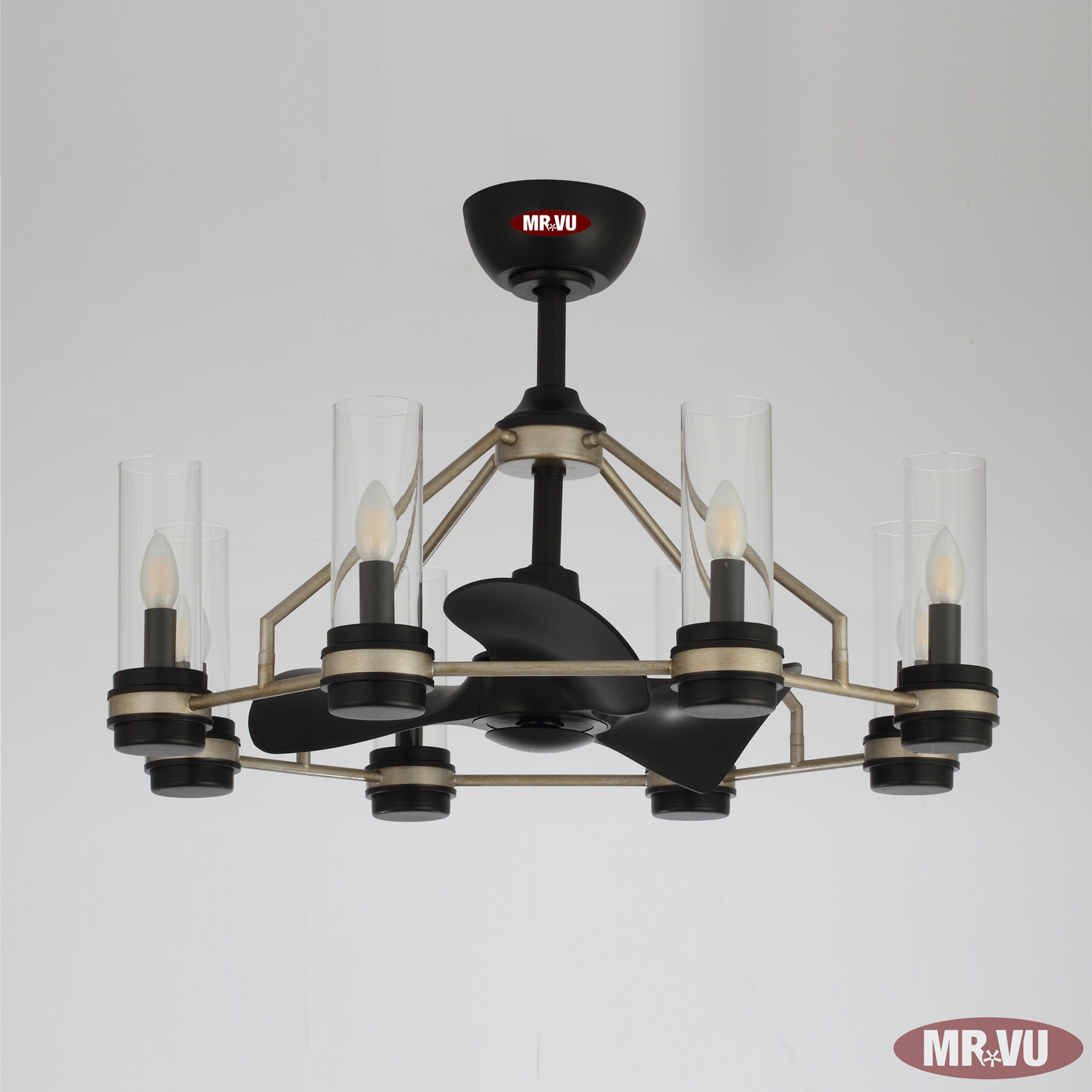 quat tran dau canh dep ISABEL1