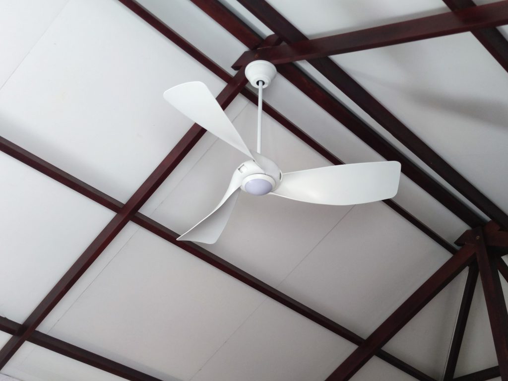 quat-tran-3-canh-melody-mau-trang quat-tran-3-canh-melody-mau-trang