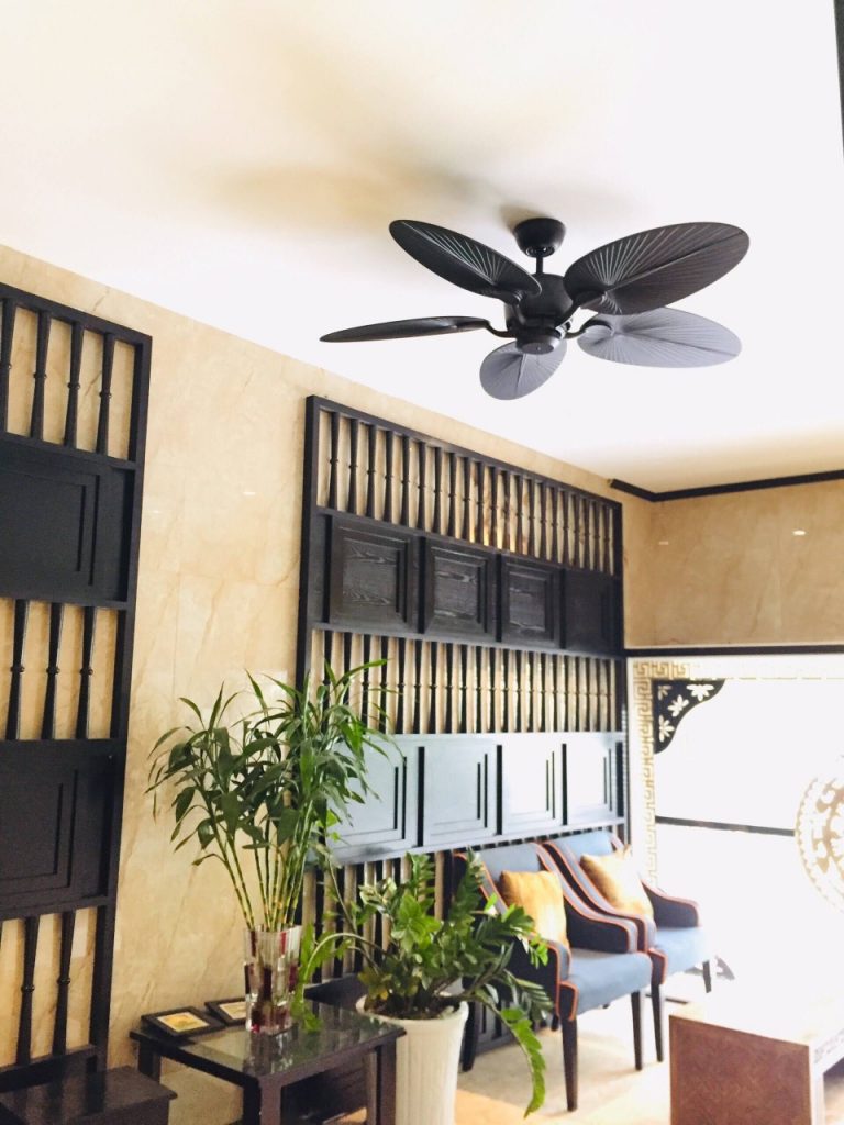 quat tran 5canh la den quat tran 5canh la den