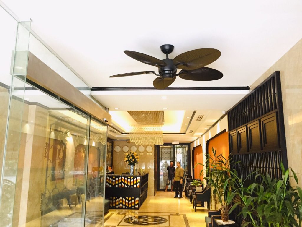 quat tran canh la dep quat tran canh la dep