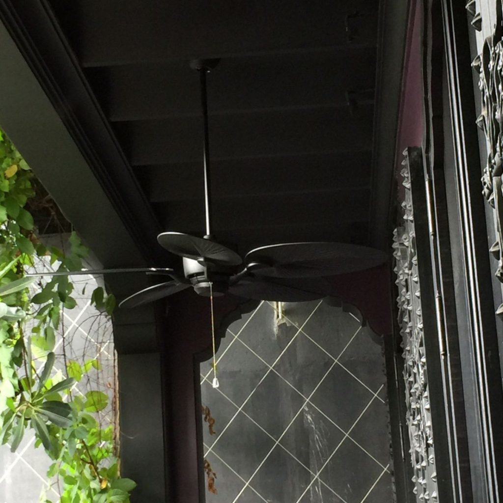 quat tran canh la mau den quat tran canh la mau den