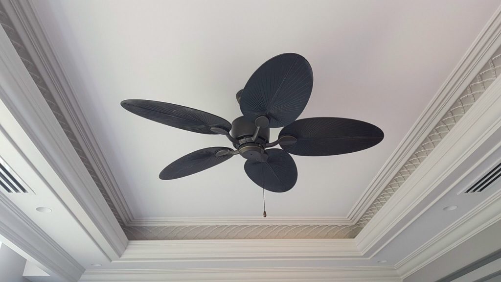 quat tran canh la mau den quat tran canh la mau den