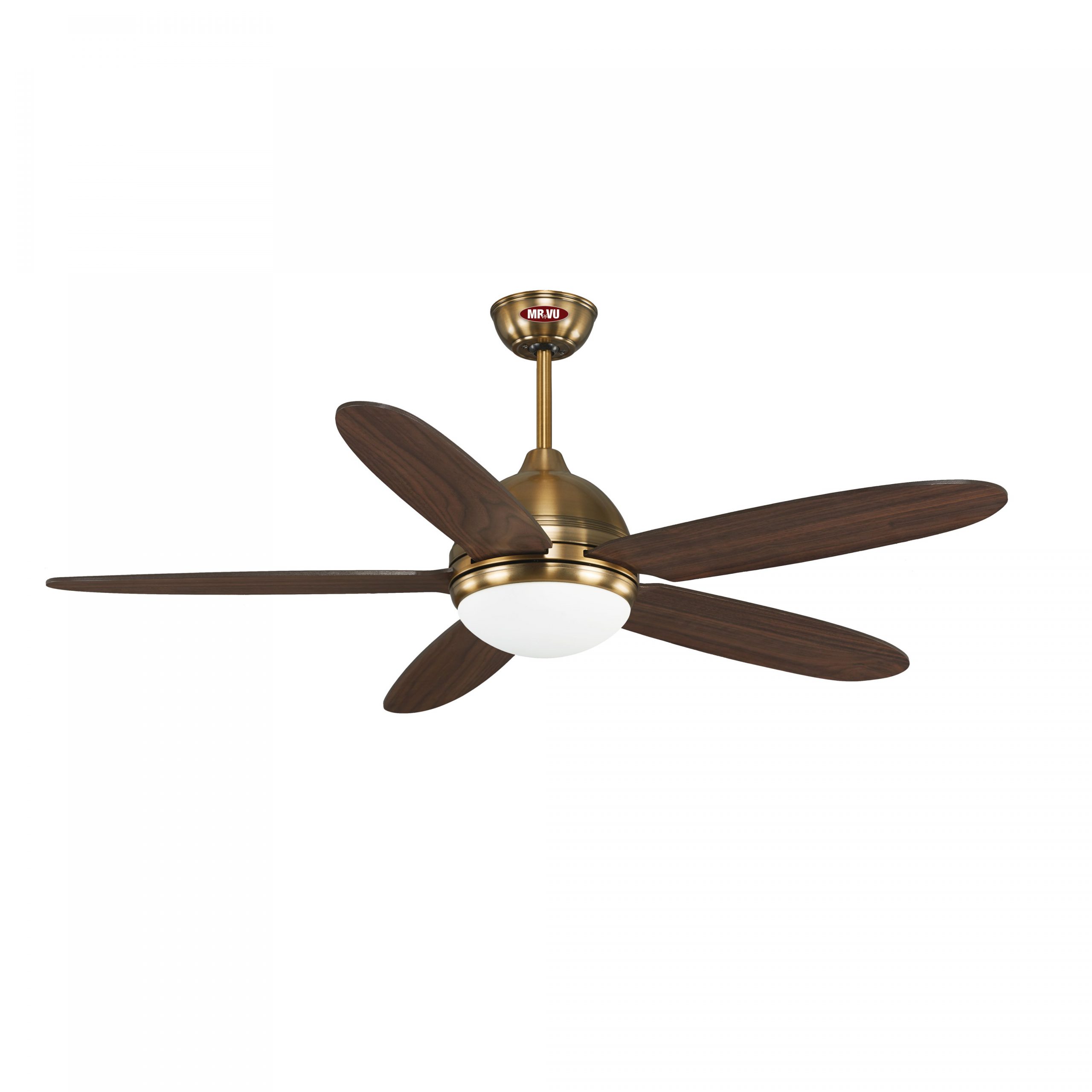 quat tran daisy gold scaled quat tran daisy gold scaled