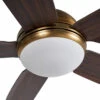 quat tran den 5canh daisy gold